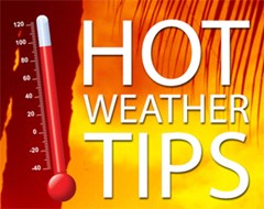 hot-weather-tips-art-4-webjpg